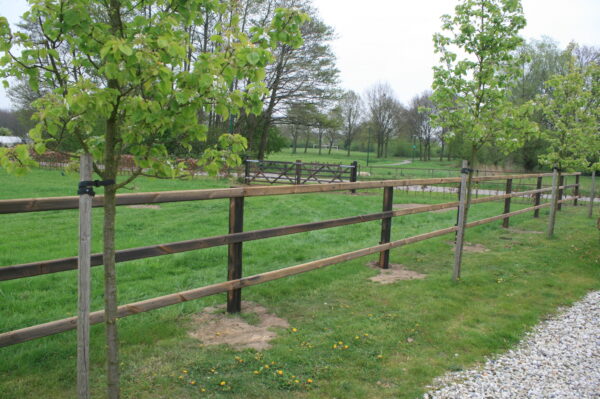 Geert and Henk - screw-on fence - Lord - 3 girders (1)