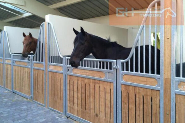 Horse stable_Model_Schengen_avec_bambus 2-3